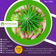 Illustration for article titled Buy CBD Oil Online | earthchoicesupply.com | Call - 416-922-7238